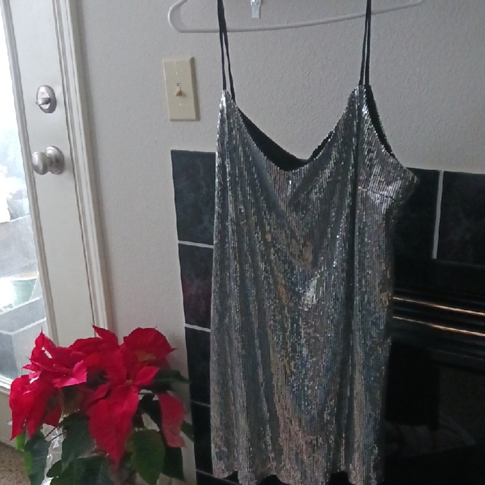 Wild Fable Silver Sequin Mini Dress